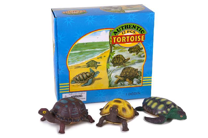 ANIMALES TORTUGAS EXP.12
