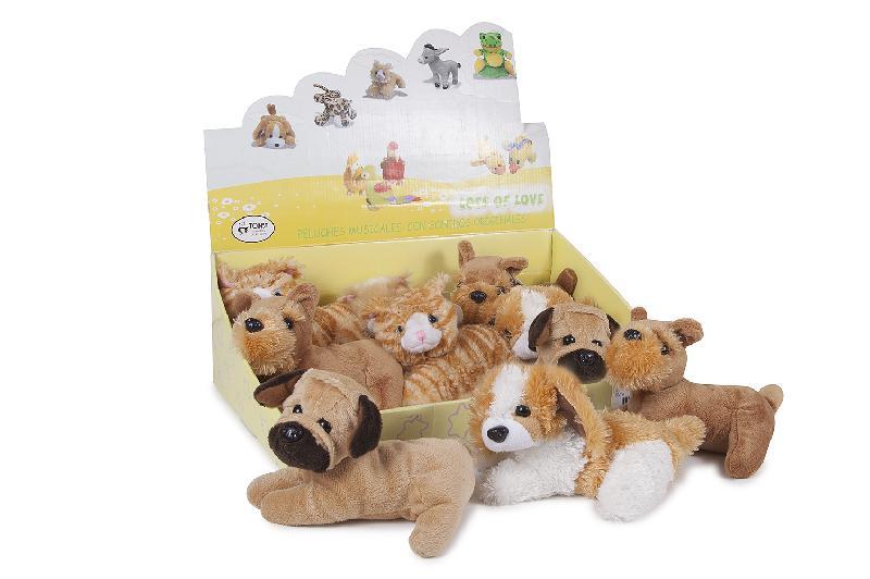 GATOS+PERROS SURT. MUSICAL EXP.12